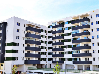 Imagine reprezentativă 2